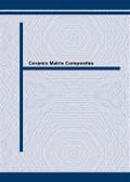 Ceramic Matrix Composites