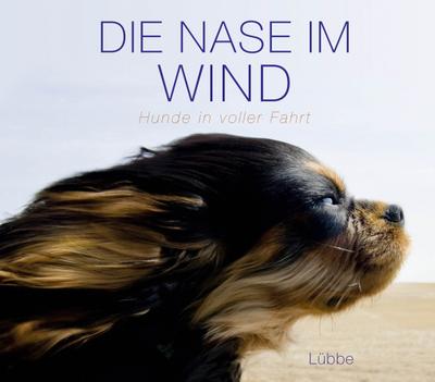 Die Nase im Wind