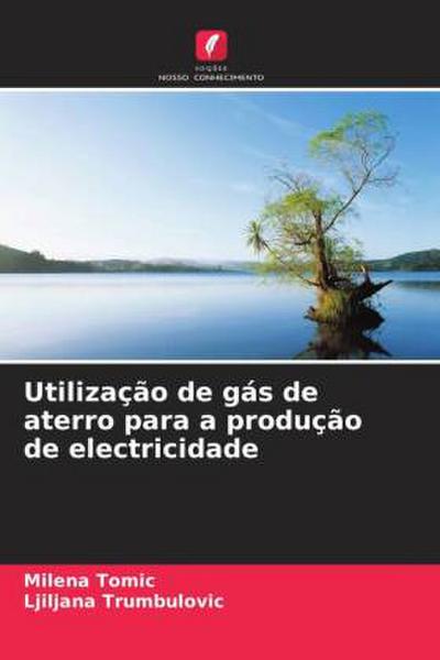 Utilização de gás de aterro para a produção de electricidade