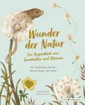 Wunder der Natur - Ein Augenblick zum Innehalten u