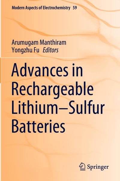 Advances in Rechargeable Lithium¿Sulfur Batteries