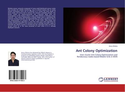 Ant Colony Optimization