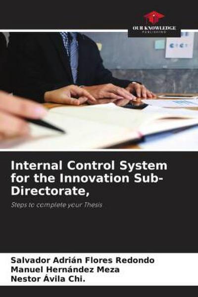 Internal Control System for the Innovation Sub-Directorate