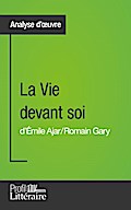 La Vie devant soi de Romain Gary (Analyse approfondie)