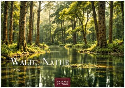 Wald & Natur Kalender 2027 - Wandkalender | Fotokalender Naturkalender Großformat 35x50cm - Natürliche Schönheit & Ruhe für jeden Monat .