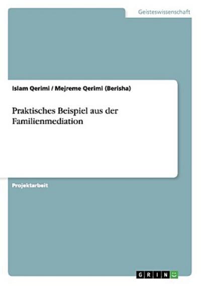 Praktisches Beispiel aus der Familienmediation