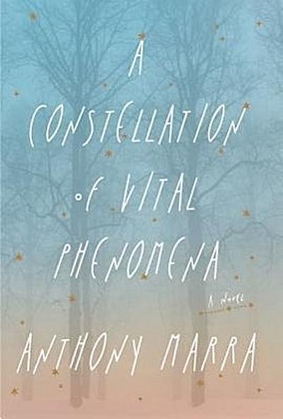 A Constellation of Vital Phenomena (Thorndike Press Large Print Reviewer’s Choice)