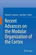 Recent Advances on the Modular Organization of the