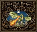 A Natural History of Dragons