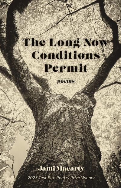 The Long Now Conditions Permit