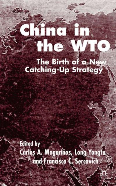 China in the Wto