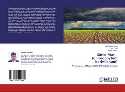 Safed Musli (Chlorophytum borivilianum)