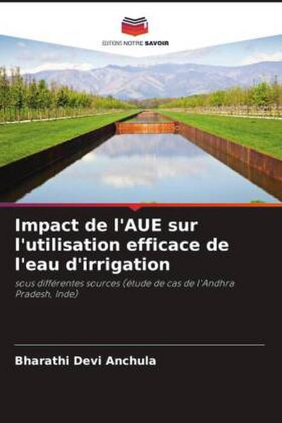 Impact de l’AUE sur l’utilisation efficace de l’eau d’irrigation
