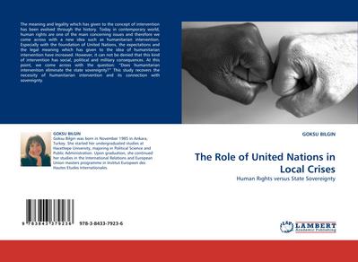 The Role of United Nations in Local Crises