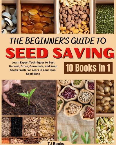 The Beginner’s Guide to Seed Saving