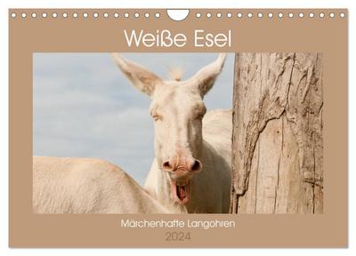 Weiße Esel - Märchenhafte Langohren (Wandkalender 2024 DIN A4 quer), CALVENDO Monatskalender