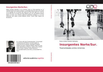 Insurgentes Norte/Sur.