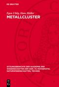 Metallcluster