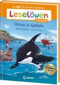 Orcas in Gefahr