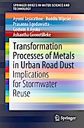 Transformation Processes of Metals in Urban Road Dust