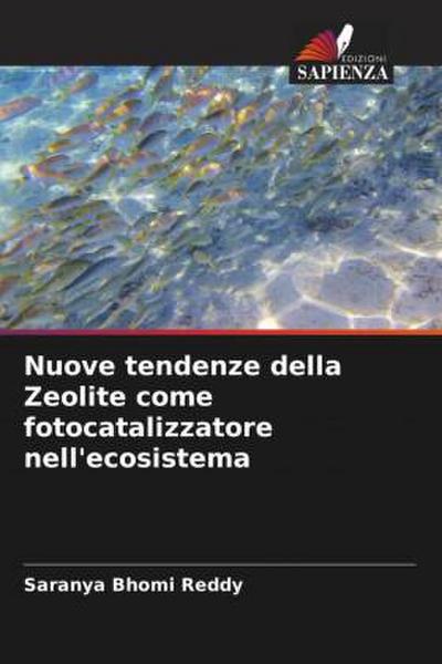 Nuove tendenze della Zeolite come fotocatalizzatore nell’ecosistema
