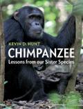 Chimpanzee