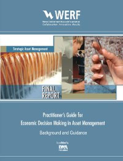Practitioner’s Guide to Economic Decision Making in Asset Management