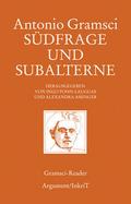 Südfrage und Subalterne