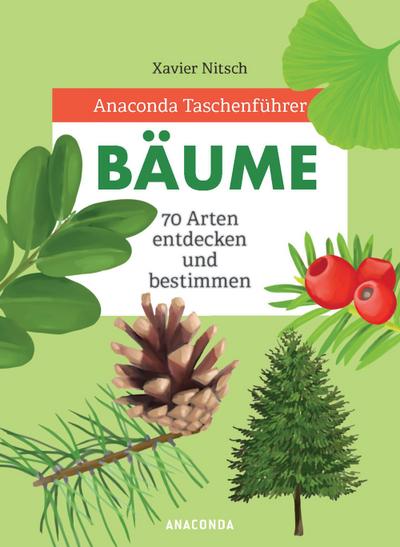Anaconda Taschenführer Bäume. 70 Arten entdecken und bestimmen
