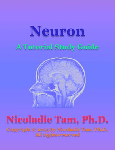 Neuron: A Tutorial Study Guide