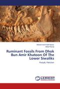 Ruminant Fossils From Dhok Bun Amir Khatoon Of The