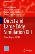 Direct and Large Eddy Simulation XIII