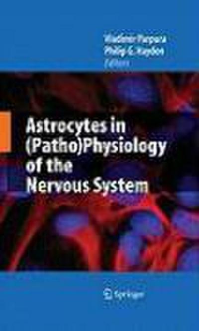 Astrocytes in (Patho)Physiology of the Nervous System