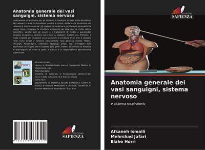 Anatomia generale dei vasi sanguigni, sistema nervoso