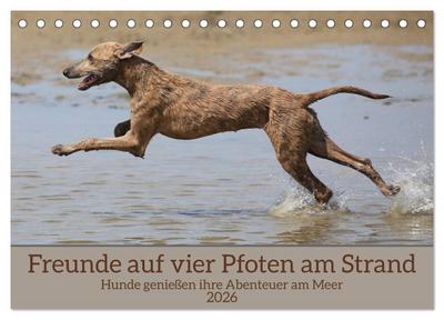 Freunde auf vier Pfoten am Strand (Tischkalender 2026 DIN A5 quer), CALVENDO Monatskalender
