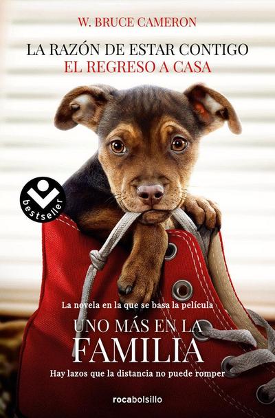 La razón de estar contigo : el regreso a casa