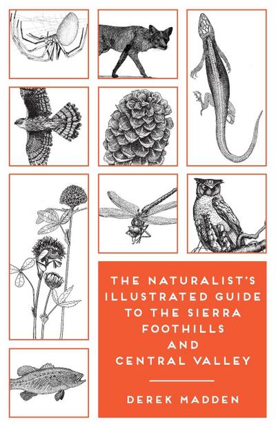 The Naturalist’s Illustrated Guide to the Sierra Foothills and Central Valley