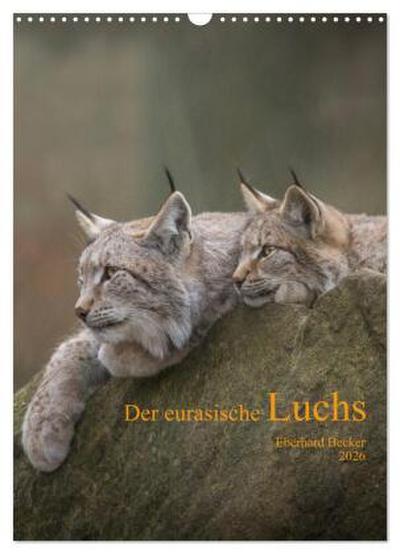 Der eurasische Luchs (Wandkalender 2026 DIN A3 hoch), CALVENDO Monatskalender