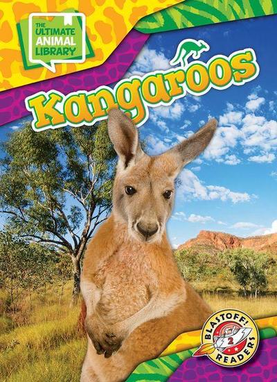 Kangaroos