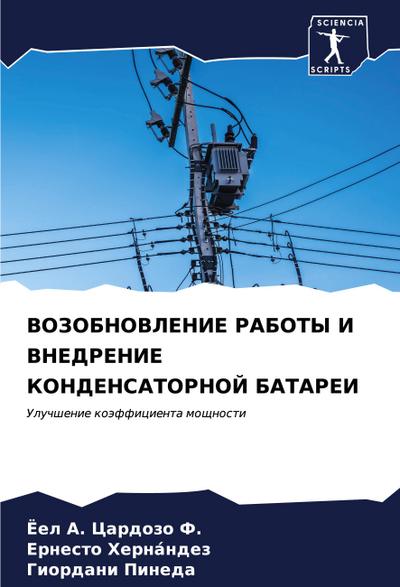 VOZOBNOVLENIE RABOTY I VNEDRENIE KONDENSATORNOJ BATAREI