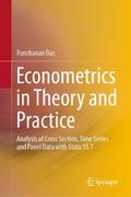 Econometrics in Theory and Practice
