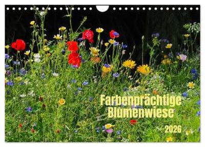 Farbenprächtige Blumenwiese (Wandkalender 2026 DIN A4 quer), CALVENDO Monatskalender