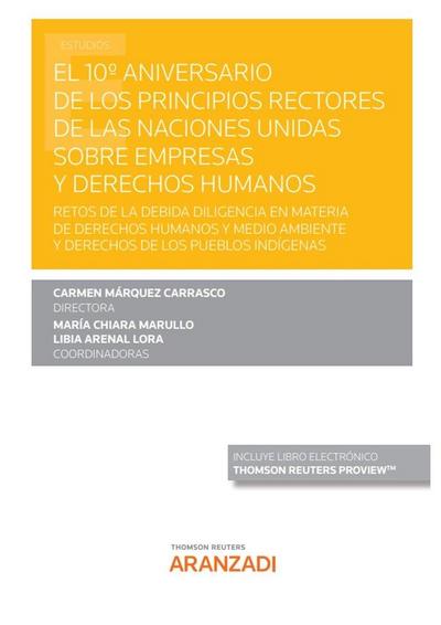 10º Aniversario de los principios rectores de las Naciones Unidas sobre empresas y derechos humanos