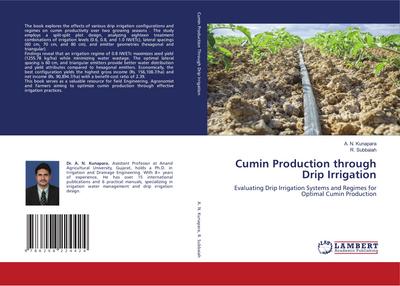 Cumin Production through Drip Irrigation