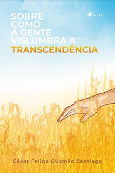 Sobre como a gente vislumbra a Transcendência