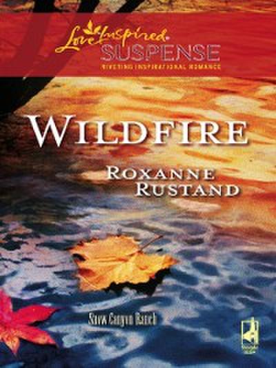 Wildfire (Mills & Boon Love Inspired) (Snow Canyon Ranch, Book 3)