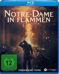 Notre-Dame in Flammen