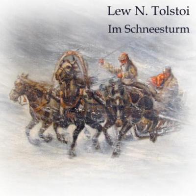 Im Schneesturm, Audio-CD, MP3