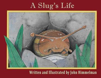 A Slug’s Life