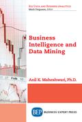 Business Intelligence and Data Mining